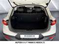 Kia Stonic 1.2 Edition 7 Klima+ SHZ+Lenkradheizung Blanco - thumbnail 16
