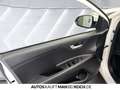 Kia Stonic 1.2 Edition 7 Klima+ SHZ+Lenkradheizung Blanco - thumbnail 14