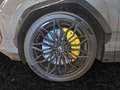Lamborghini Urus SE Grau - thumbnail 21