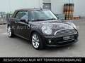 MINI Cooper D Cabrio Cooper 1.6 D Cabrio+LEDER+NAVI+XENON+ALU+KEYLESS Braun - thumbnail 3