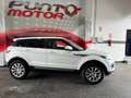 Land Rover Range Rover Evoque 2.0TD4 HSE Dynamic 4WD Aut. 150 Wit - thumbnail 6