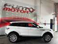 Land Rover Range Rover Evoque 2.0TD4 HSE Dynamic 4WD Aut. 150 Wit - thumbnail 7