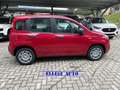 Fiat Panda PANDINA 1.0  Hybrid  KM  0 Rosso - thumbnail 3