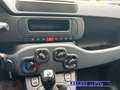 Fiat Panda PANDINA 1.0  Hybrid  KM  0 Rosso - thumbnail 15
