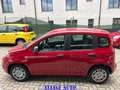 Fiat Panda PANDINA 1.0  Hybrid  KM  0 Rosso - thumbnail 6