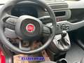 Fiat Panda PANDINA 1.0  Hybrid  KM  0 Rosso - thumbnail 13