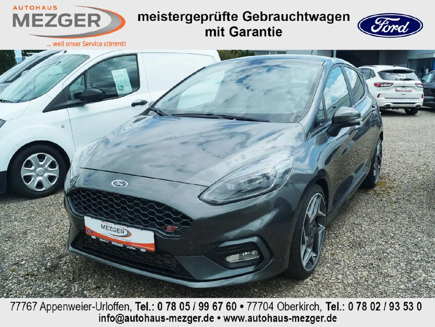 Ford Fiesta ST Grau - 1