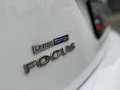 Ford Focus 2.5 RS LIMITED EDITION NR 3829 / RECARO / MILLTEK/ Weiß - thumbnail 12