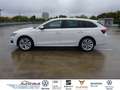 Skoda Octavia Combi Selection 1.5l TSI mHEV 110kW DSG LED Navi H Weiß - thumbnail 3
