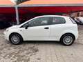 Fiat Punto Punto Evo 1.3 MJT ADATTA A NEOPATENTATI 75 CV 3 po Bianco - thumbnail 8