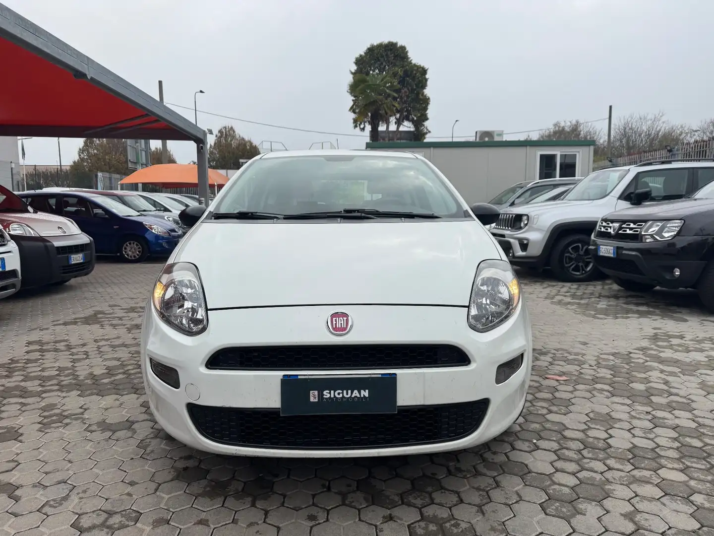 Fiat Punto Punto Evo 1.3 MJT ADATTA A NEOPATENTATI 75 CV 3 po Bianco - 2