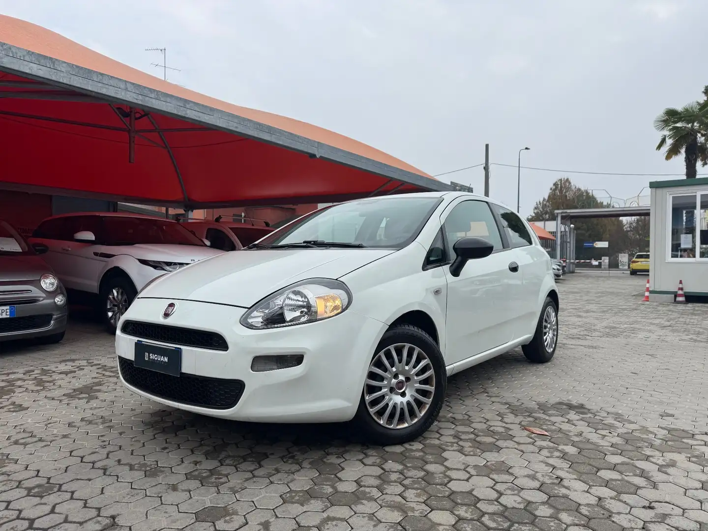 Fiat Punto Punto Evo 1.3 MJT ADATTA A NEOPATENTATI 75 CV 3 po Bianco - 1