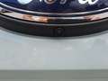 Ford Ranger Doka 2.3l Stormtrak PHEV Laderaumrollo Grau - thumbnail 10