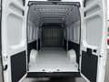 Fiat Ducato L4H3 MY25 Maxi 35 180PS/RADIO/KLIMA/PDC H 132 k... Weiß - thumbnail 11