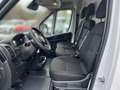Fiat Ducato L4H3 MY25 Maxi 35 180PS/RADIO/KLIMA/PDC H 132 k... Weiß - thumbnail 7