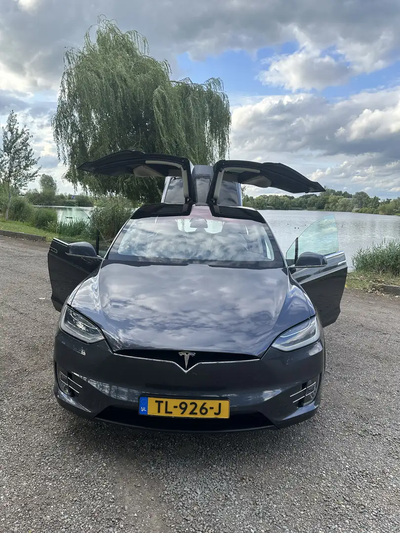 Tesla Model X 75D Base Grau - 1