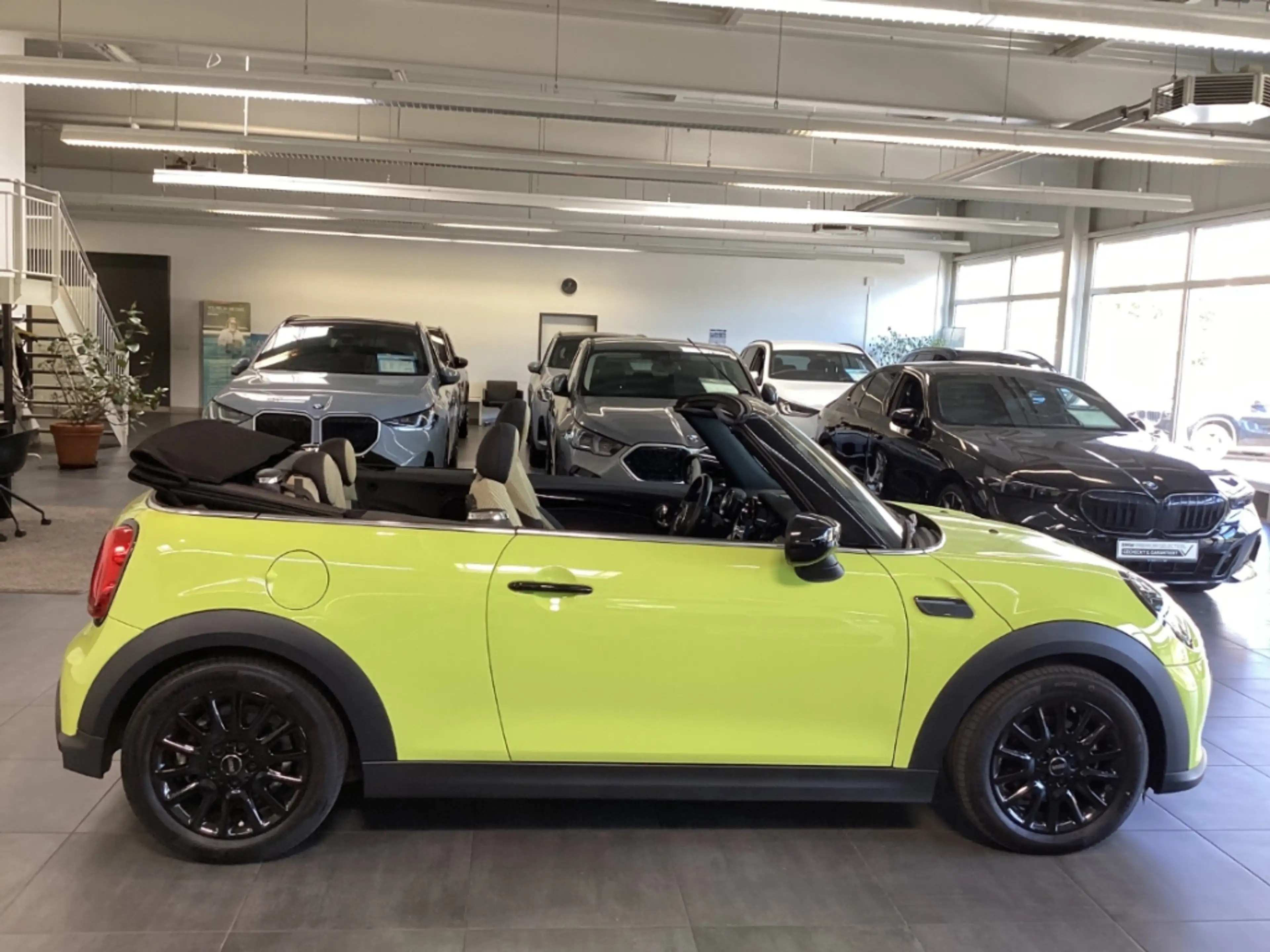 MINI Cooper Cabrio Classic Trim LED DAB Sports. SHZ LMR PDC Tempomat — photo 6