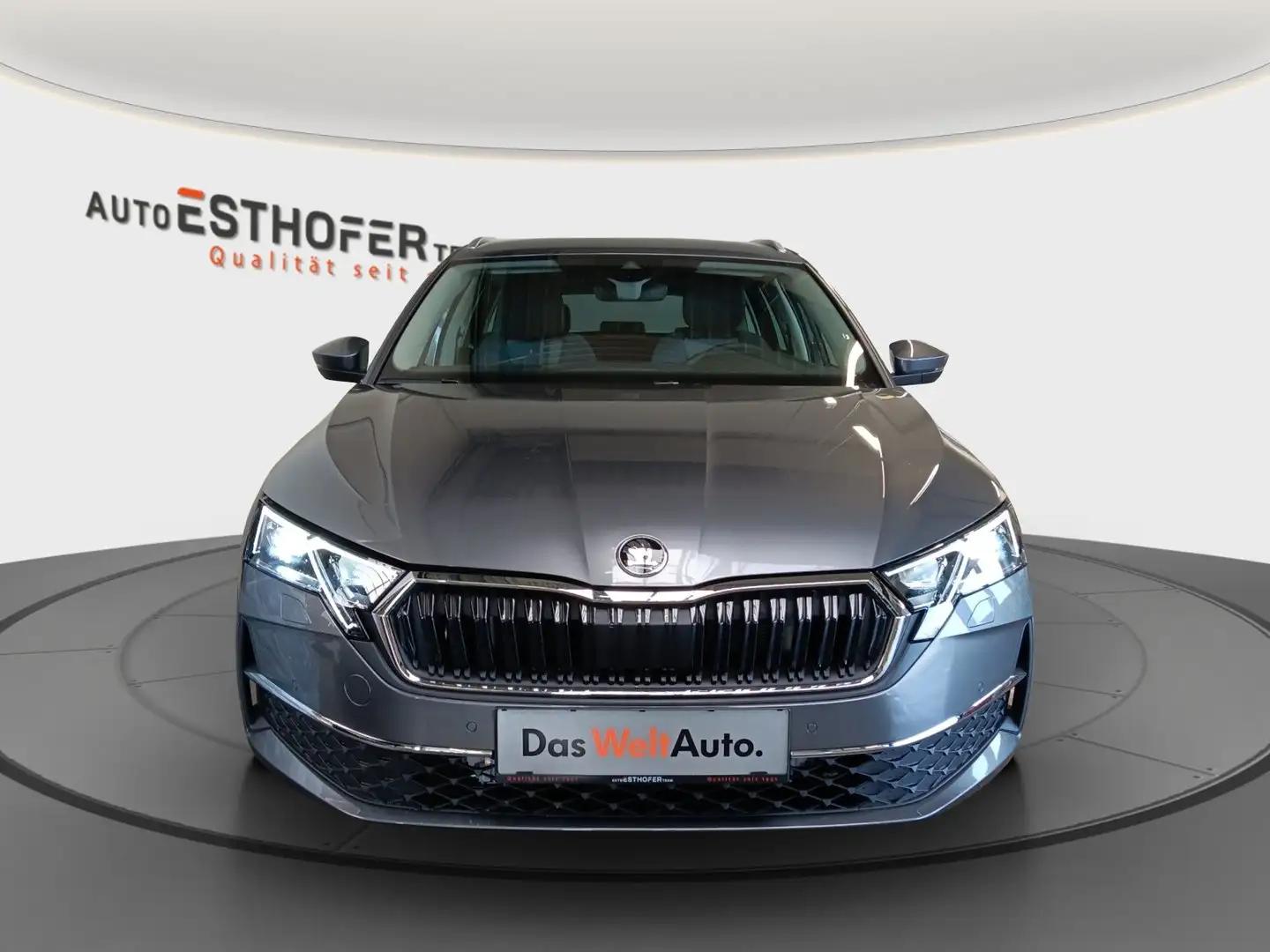 Skoda Octavia Selection TDI DSG Grau - 2