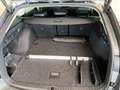 Skoda Octavia Selection TDI DSG Grau - thumbnail 19