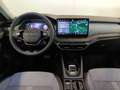 Skoda Octavia Selection TDI DSG Grau - thumbnail 6