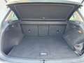 Volkswagen Tiguan 2.0 TDI OFFROAD 4Motion Navi*AHK*Pano*Kam Blanc - thumbnail 14