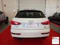 Audi Q3 2.0 tdi Sport 4Edition quattro 150cv s-tronic Weiß - thumbnail 5
