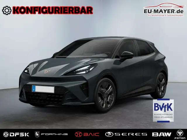 CUPRA Raval ENDURANCE SK | Förderfähig! 155kW 52KWh