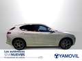 Alfa Romeo Stelvio 2.2 Veloce Q4 210 Aut. Grigio - thumbnail 4