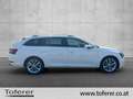 Skoda Superb ŠKODA Superb Kombi 2,0 TDI Style DSG Weiß - thumbnail 4