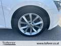 Skoda Superb ŠKODA Superb Kombi 2,0 TDI Style DSG Weiß - thumbnail 16