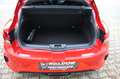 Renault Megane R.S. Trophy TCe 300 Recaro Carbon Paket Rojo - thumbnail 13