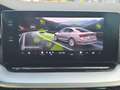 Skoda Octavia TDI 4x4 DSG STNDHZ SITZBLF MATRIX LEDER ACC Weiß - thumbnail 21