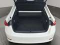 Skoda Octavia TDI 4x4 DSG STNDHZ SITZBLF MATRIX LEDER ACC Weiß - thumbnail 6