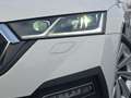 Skoda Octavia TDI 4x4 DSG STNDHZ SITZBLF MATRIX LEDER ACC Weiß - thumbnail 5