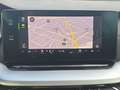 Skoda Octavia TDI 4x4 DSG STNDHZ SITZBLF MATRIX LEDER ACC Weiß - thumbnail 18
