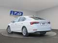 Skoda Octavia TDI 4x4 DSG STNDHZ SITZBLF MATRIX LEDER ACC Weiß - thumbnail 3
