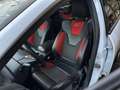 Ford Focus Wagon 2.0 EcoBoost ST-2 Recaro Stoelverw. Cruise C Weiß - thumbnail 6