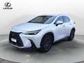 Lexus NX 300 NX Hybrid 4WD Premium Bianco - thumbnail 1