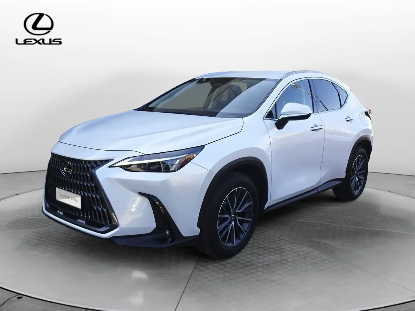 Lexus NX 300 NX Hybrid 4WD Premium Bianco - 1