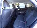 Lexus NX 300 NX Hybrid 4WD Premium Bianco - thumbnail 11