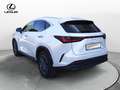 Lexus NX 300 NX Hybrid 4WD Premium Bianco - thumbnail 7