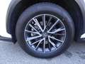 Lexus NX 300 NX Hybrid 4WD Premium Bianco - thumbnail 8