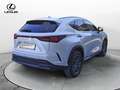 Lexus NX 300 NX Hybrid 4WD Premium Bianco - thumbnail 5