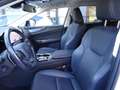 Lexus NX 300 NX Hybrid 4WD Premium Bianco - thumbnail 10