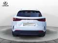 Lexus NX 300 NX Hybrid 4WD Premium Bianco - thumbnail 6