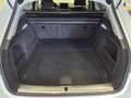 Audi A4 allroad 40 TDI quattro Weiß - thumbnail 22
