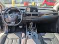 DFSK Glory 580 1.5 T CVT 7 POSTI ( DISPONIBILE ANCHE GPL ) KM0 Grigio - thumbnail 22