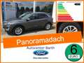 Ford Kuga 2.5 PHEV Titanium X Panoramadach Gris - thumbnail 1