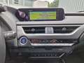 Lexus UX 250h Luxury Line ESD/WKR/HUD Gris - thumbnail 12