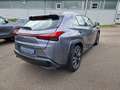 Lexus UX 250h Luxury Line ESD/WKR/HUD Grau - thumbnail 5